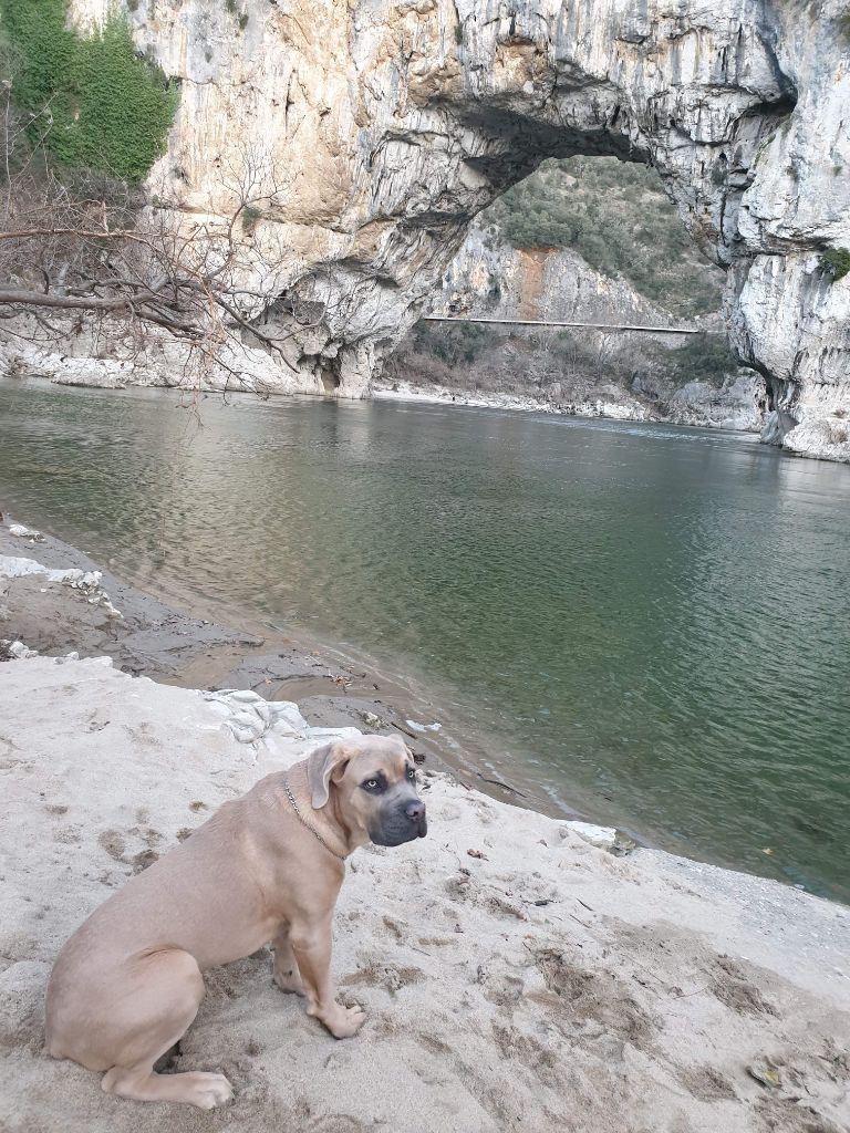 Des  Monts D'Ardeche - Pax Des Monts d Ardèche 