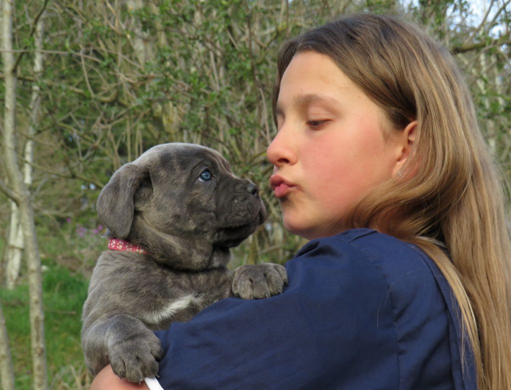 Des  Monts D'Ardeche - l'amour du chien 