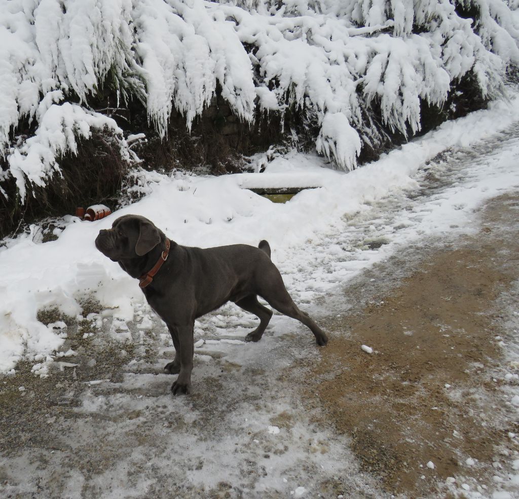 Mister t Des  Monts D'Ardeche