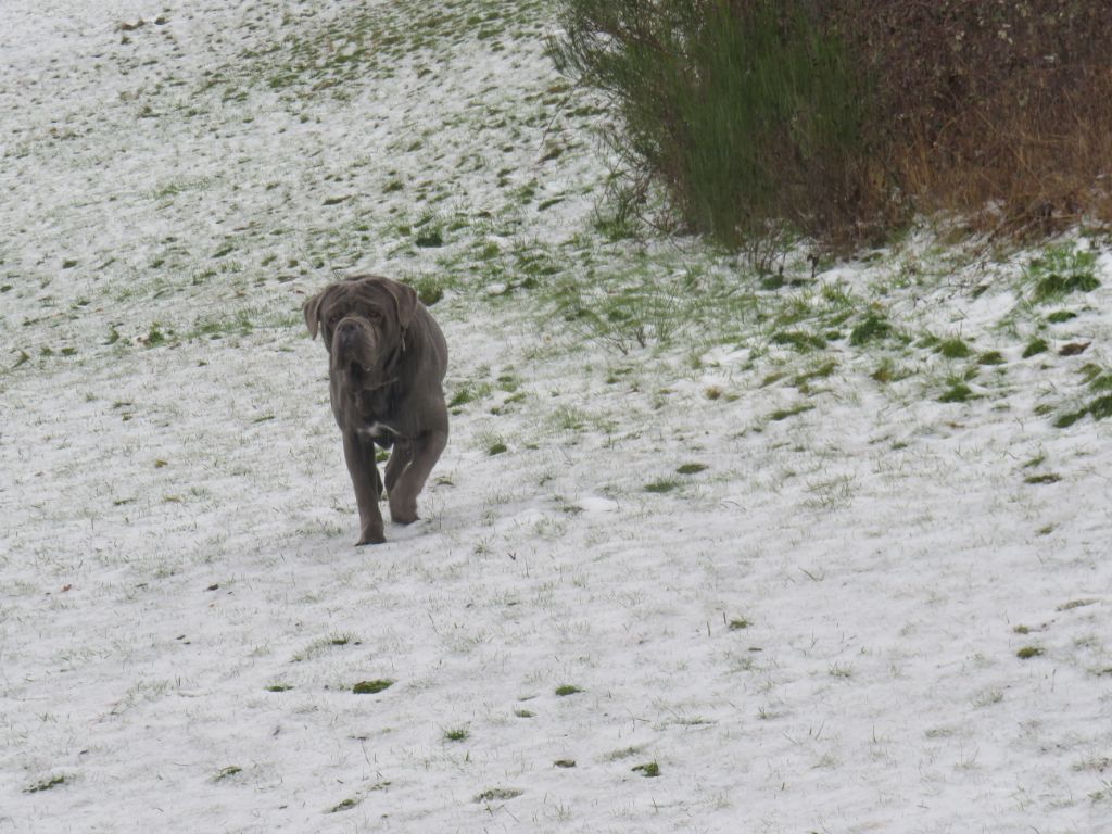 Mister t Des  Monts D'Ardeche