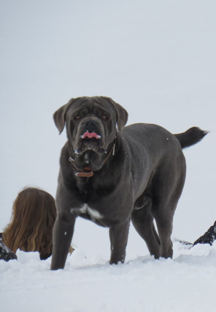 Mister t Des  Monts D'Ardeche