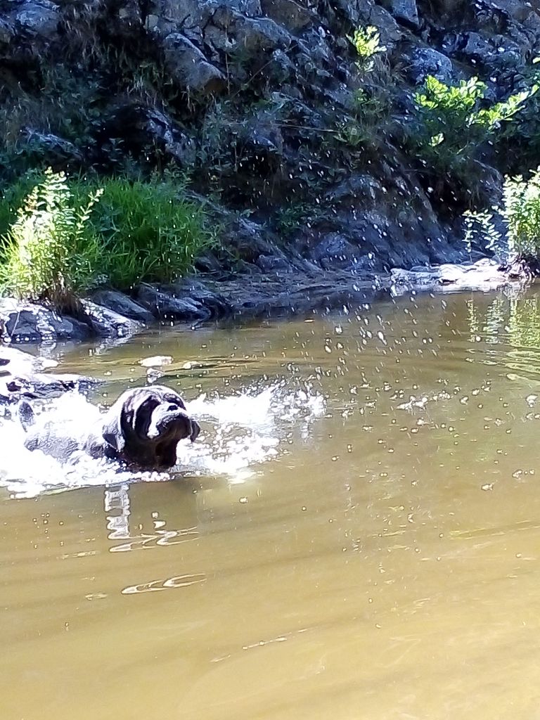 Mister t Des  Monts D'Ardeche