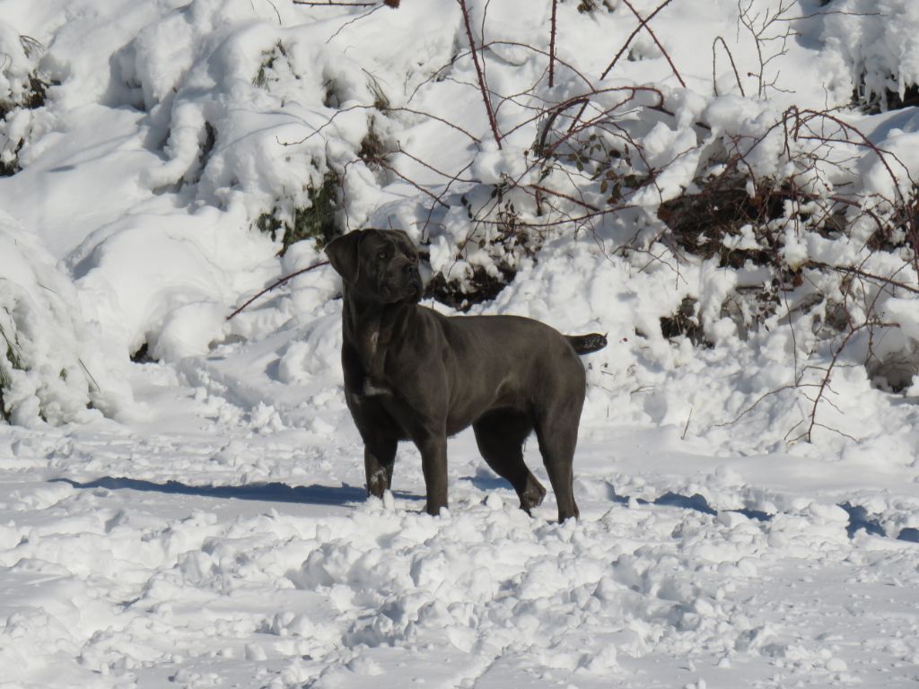Mengie Des Monts D'Ardeche