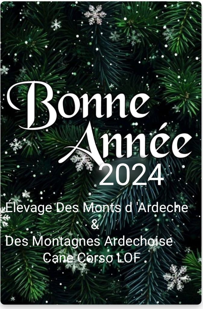 Bonne année à tous 